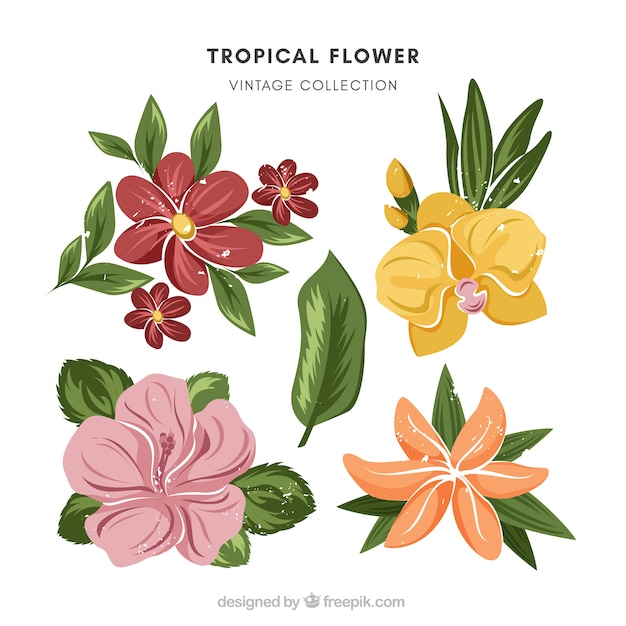 Colección de flores tropicales en estilo vintage