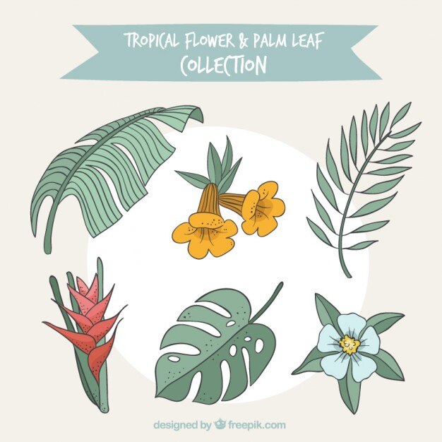 Vector gratuito colección de flores tropicales y hojas de palmera