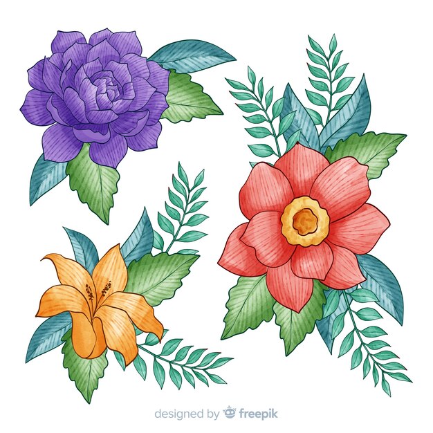 Colección de flores tropicales sobre fondo blanco.