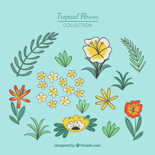 Vector gratuito colección de flores tropicales