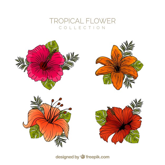 Colección de flores tropicales