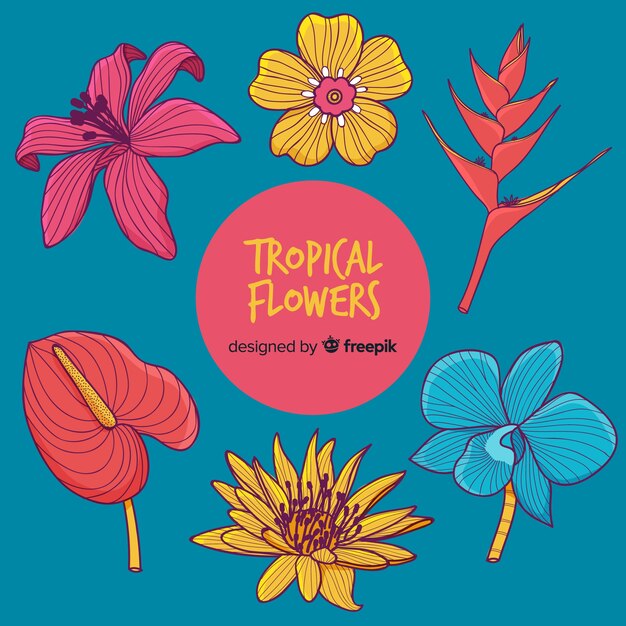 Colección de flores tropicales