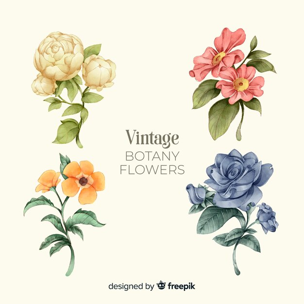 Colección de flores vintage