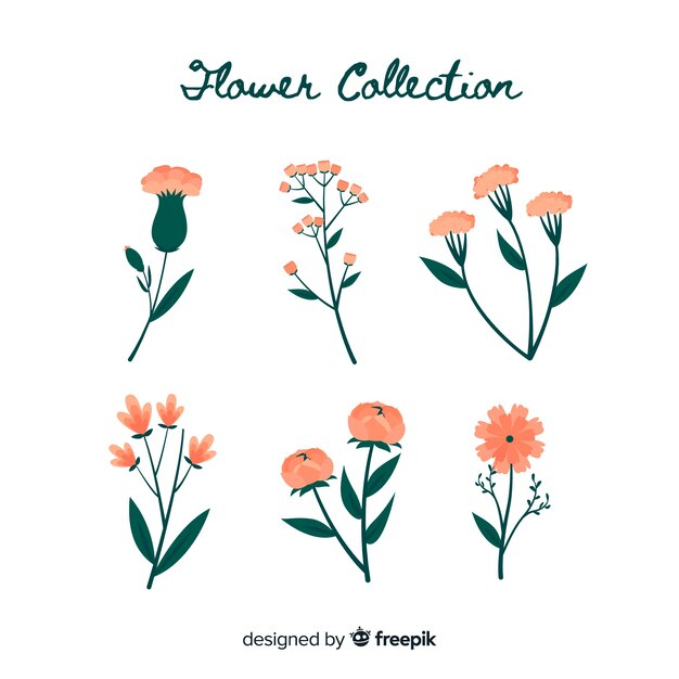 Colección de flores