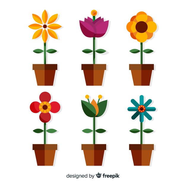 Colección de flores