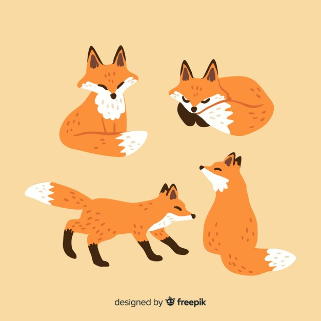 Colección Fox estilo dibujado a mano.