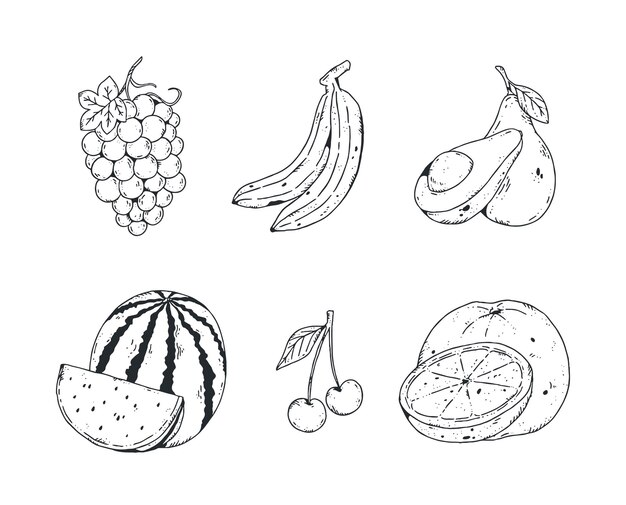 Colección de fruta dibujada a mano
