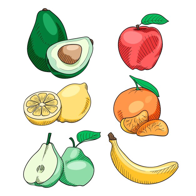 Colección de fruta dibujada a mano
