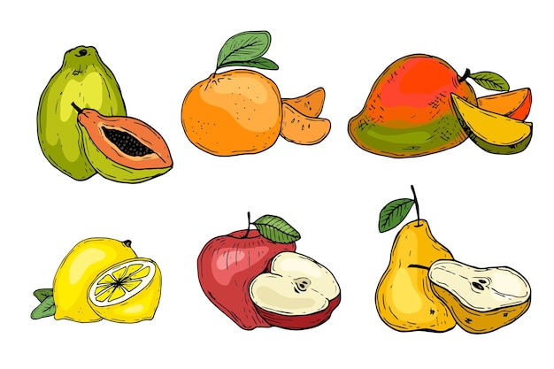 Colección de fruta dibujada a mano