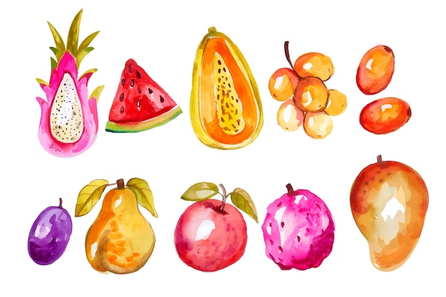 Colección de frutas en acuarela pintada a mano.