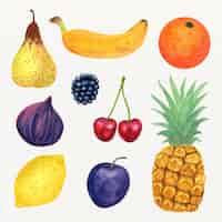 Vector gratuito colección de frutas en acuarela pintada a mano.