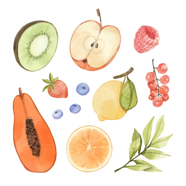 Vector gratuito colección de frutas en acuarela pintada a mano.