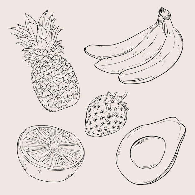 Colección de frutas dibujadas a mano grabado