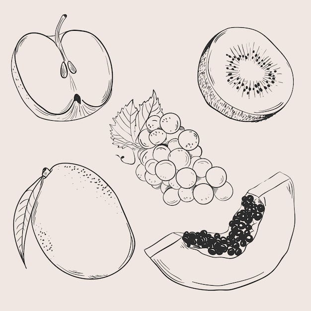 Vector gratuito colección de frutas dibujadas a mano grabado