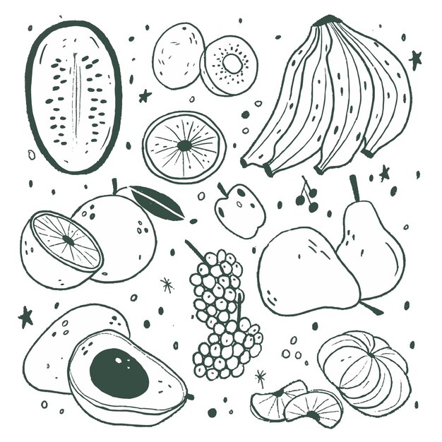 Colección de frutas dibujadas a mano grabado