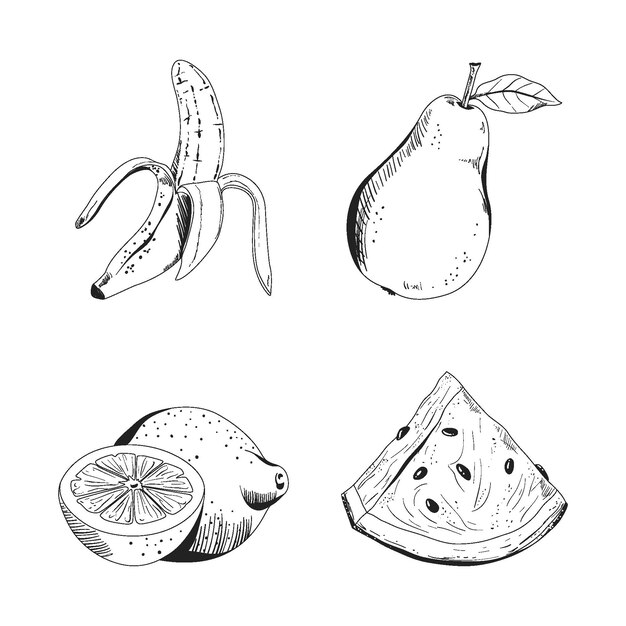 Colección de frutas dibujadas a mano grabado