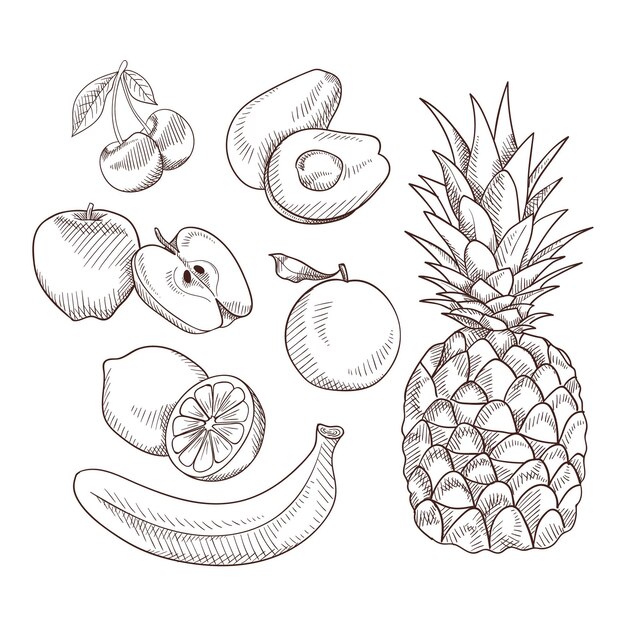 Colección de frutas dibujadas a mano grabado