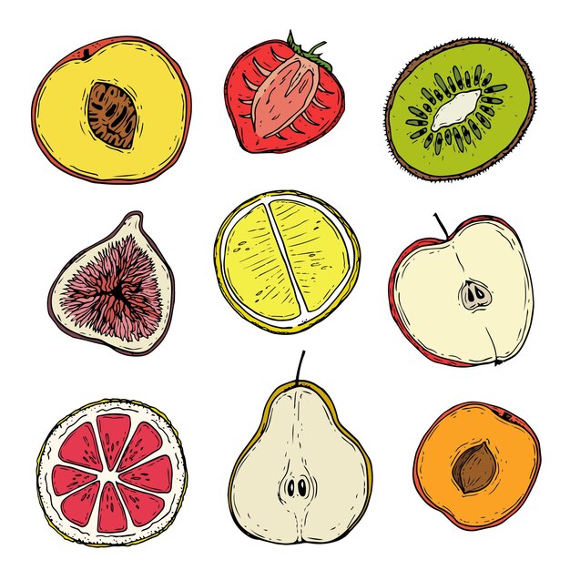 Colección de frutas dibujadas a mano