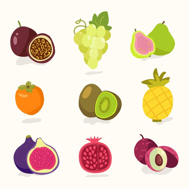 Colección de frutas dibujadas a mano