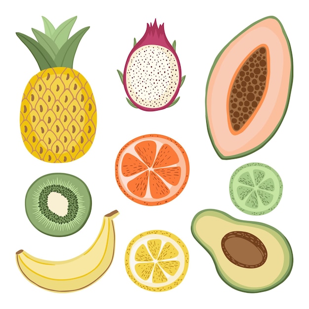 Colección de frutas dibujadas a mano