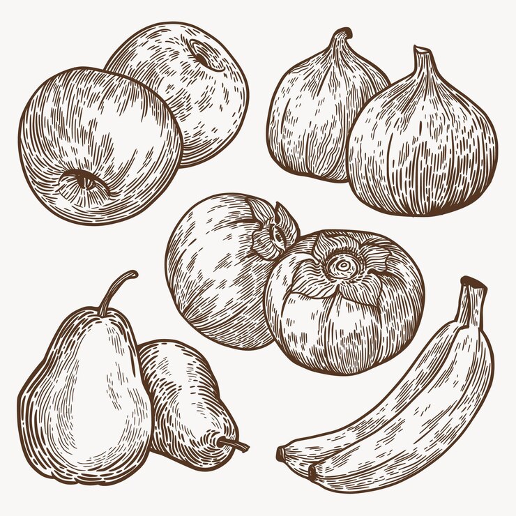 Vector gratuito colección frutas monocromáticas dibujadas a mano