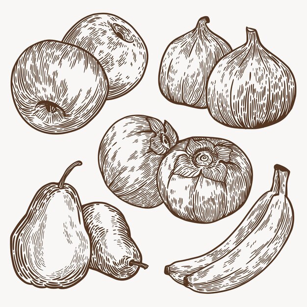 Colección frutas monocromáticas dibujadas a mano