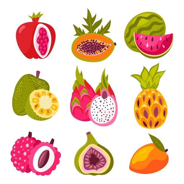 Colección de frutas planas orgánicas