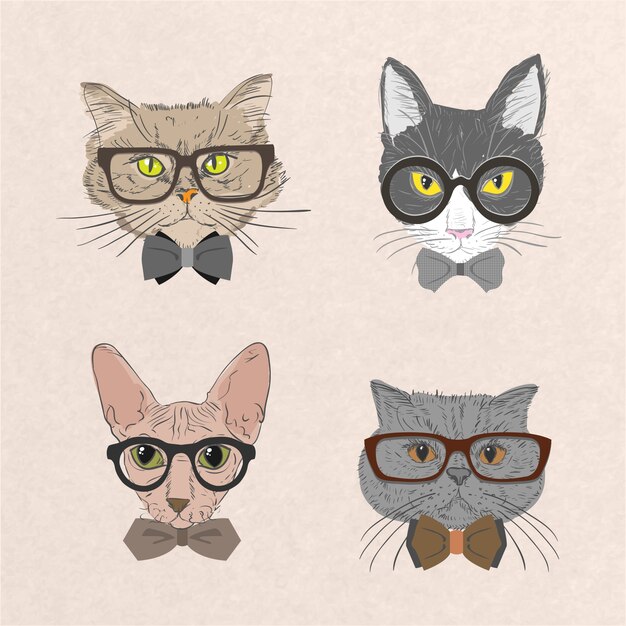 Colección de gatos hipster