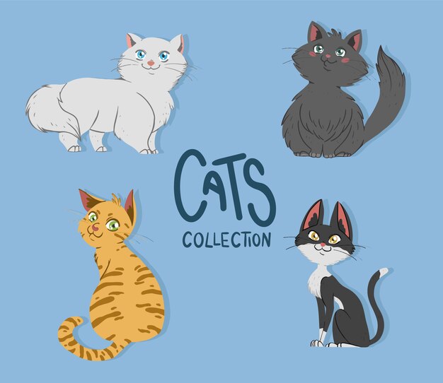 Colección de gatos lindos