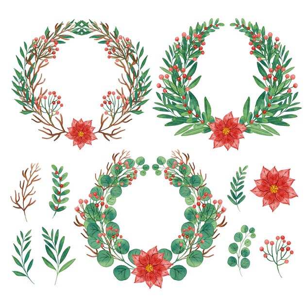 Colección de guirnaldas y flores navideñas en acuarela