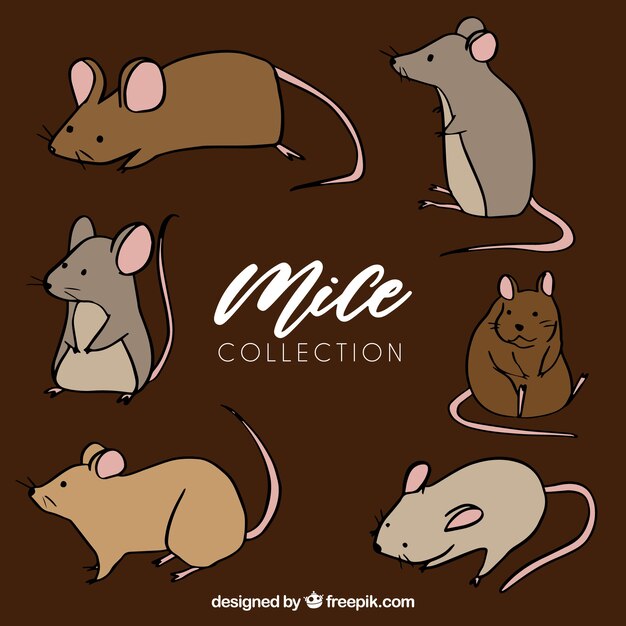 Colección hecha a mano de ratones