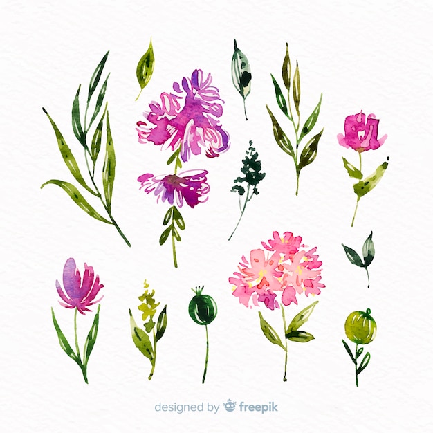 Colección hermosa rama floral acuarela