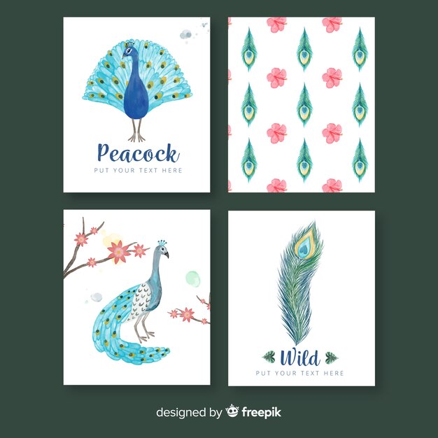 Colección hermosa de tarjetas de pavo real