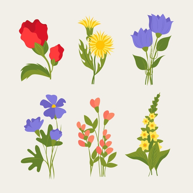Colección de hermosas flores dibujadas a mano