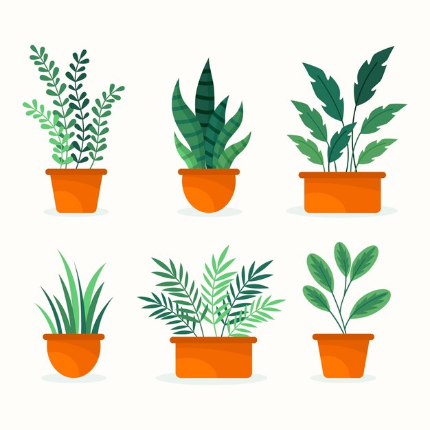Colección de hermosas plantas de interior en macetas.