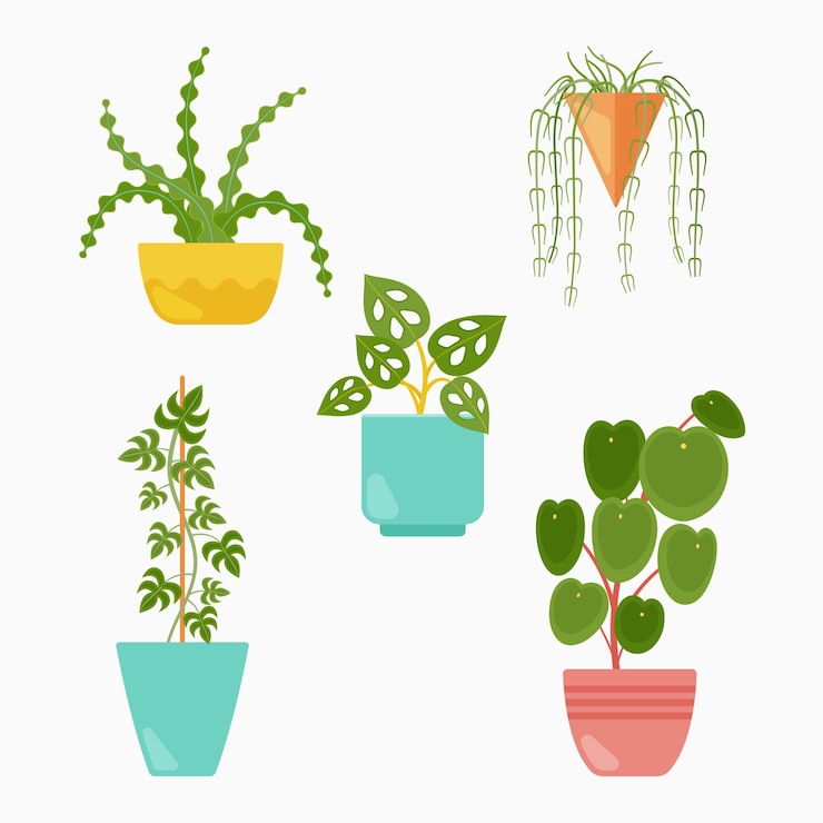 Vector gratuito colección de hermosas plantas de interior en macetas.