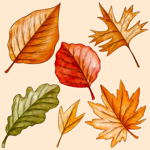 Colección de hojas de acuarela de otoño