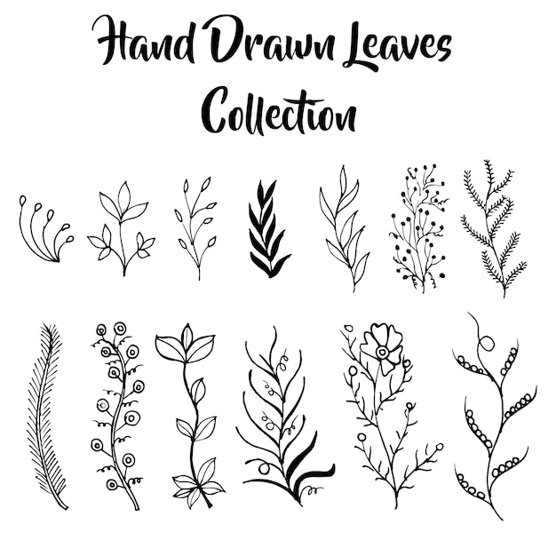Colección de hojas blancas y blancas dibujadas a mano