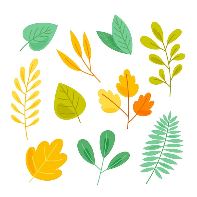 Colección hojas coloridas dibujadas a mano