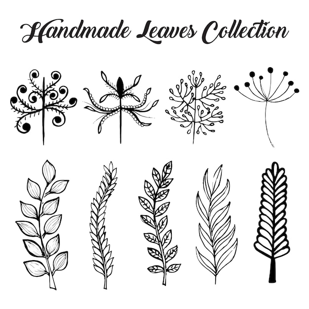 Colección de hojas dibujadas a man