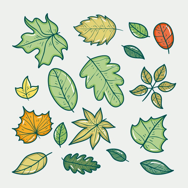 Vector gratuito colección de hojas dibujadas a mano