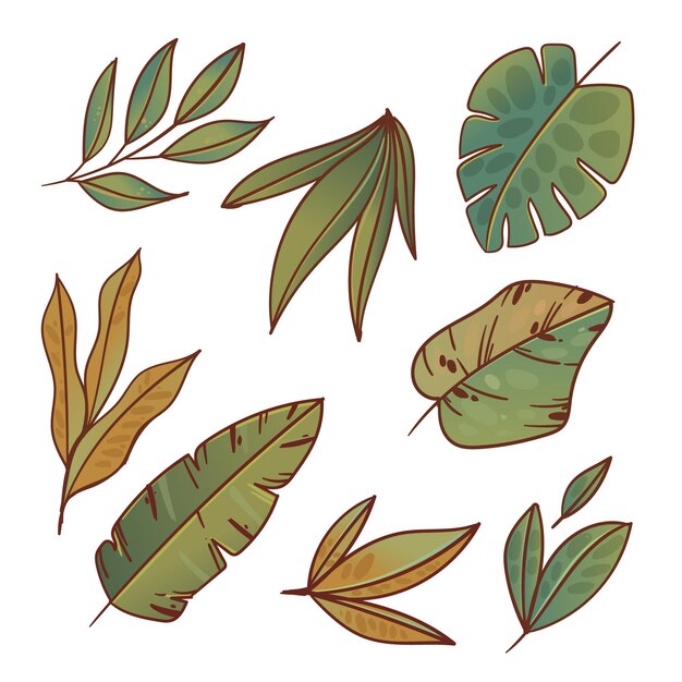 Colección hojas dibujadas a mano