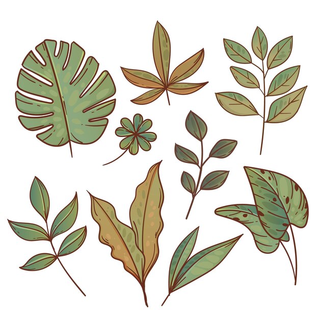Colección de hojas exóticas verdes dibujadas a mano