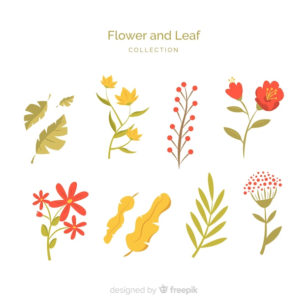 Colección de hojas y flores abstractas en diseño plano