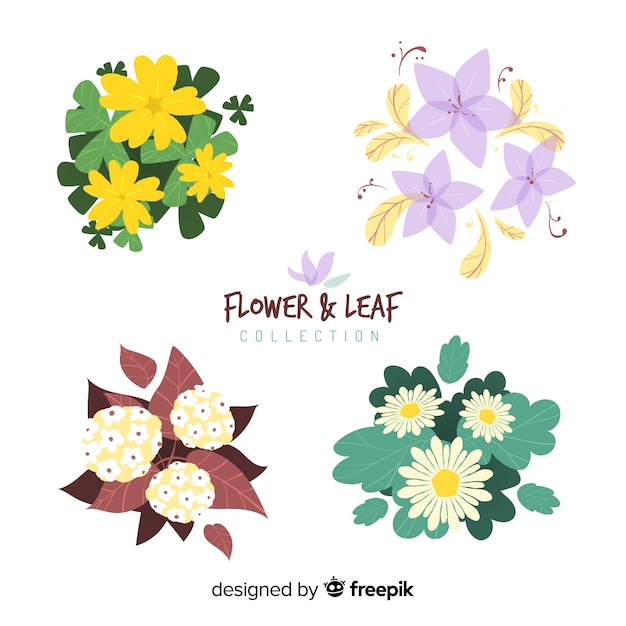 Colección de hojas y flores en diseño plano