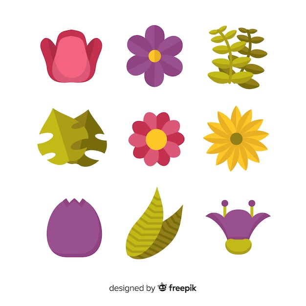 Colección de hojas y flores en diseño plano