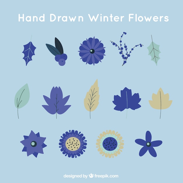Colección de hojas y flores de invierno