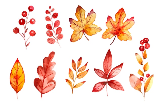 Colección de hojas de otoño en acuarela