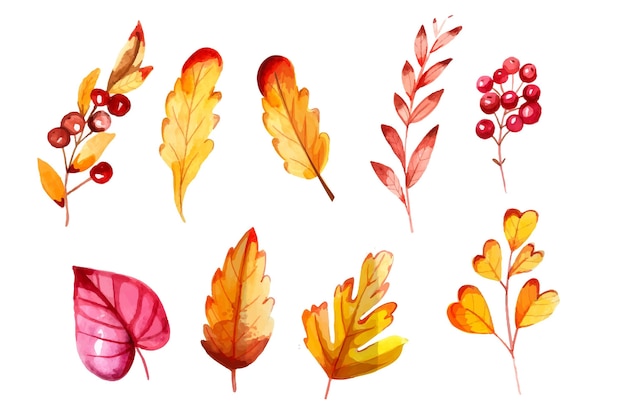 Colección de hojas de otoño en acuarela