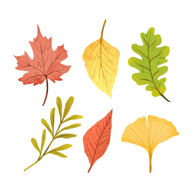 Vector gratuito colección de hojas de otoño en acuarela
